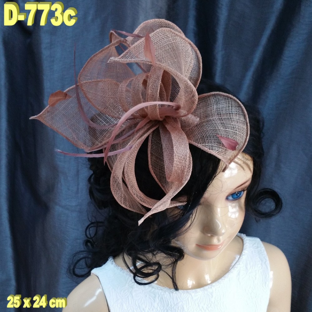 D-773c (1)